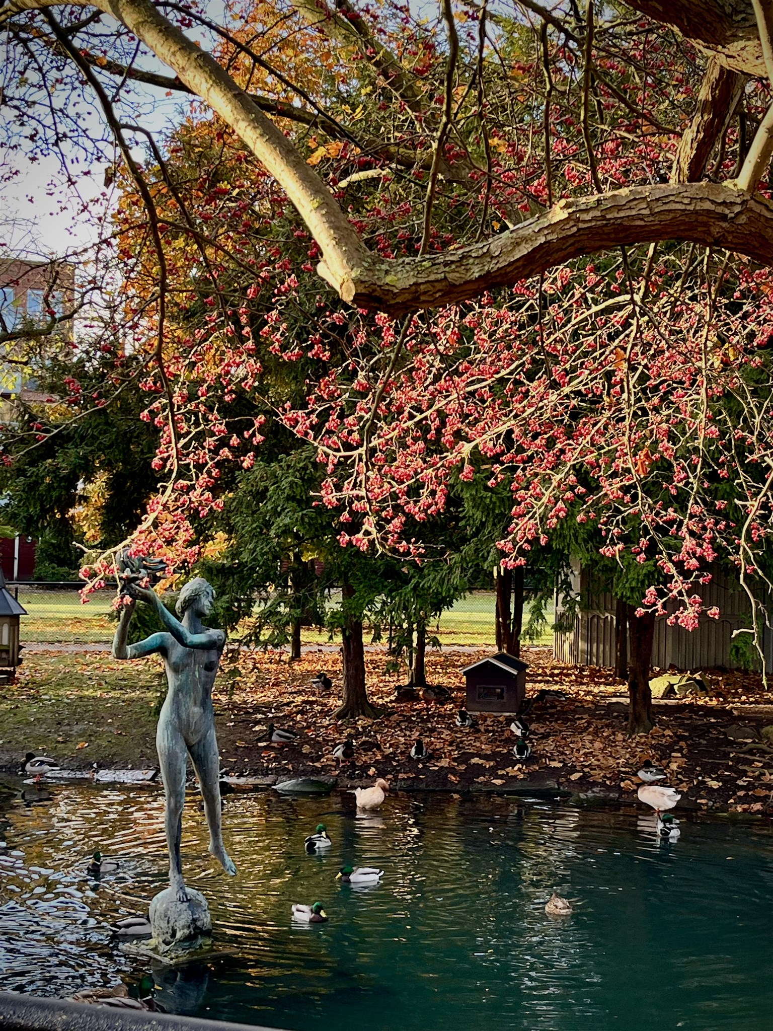 parken i höstskrud.jpeg