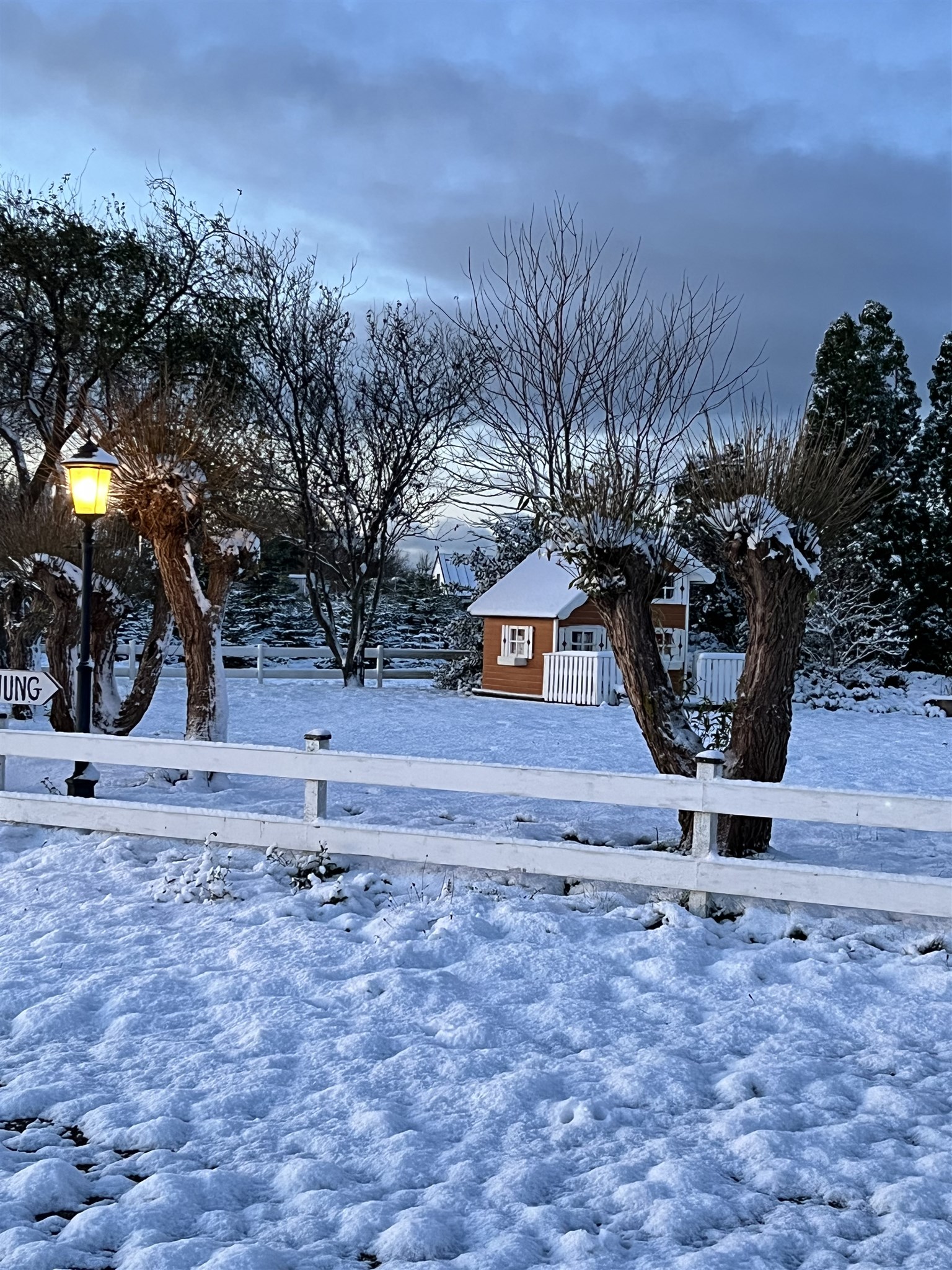 vinter i nov 25.jpeg